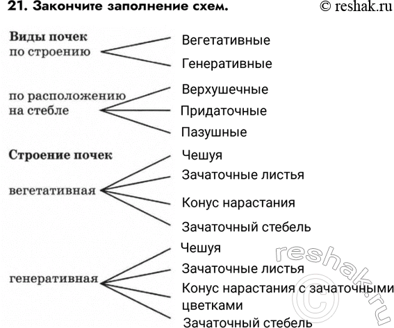 Изображение Задание 21 ГДЗ Рабочая тетрадь Пасечник 6 класс