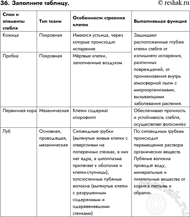 Изображение 36. Заполните таблицу.Слои и элементы стебля	Тип ткани	Особенности строения клеток	Выполняемая функцияКожица	Покровная	Имеются устьица, через которые происходит...
