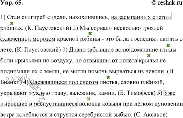 Изображение 65 Спишите. Определите границы причастного оборота в предложениях, обозначьте их вертикальными линиями. Укажите определяемое слово. Подчеркните причастные обороты как...